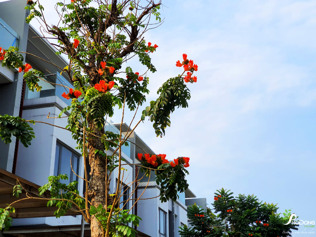 APRIL COMES OVER ON THE FLOWERS